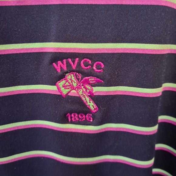 FOOT Joy Blue, Pink and Green Striped Polo Size Medium - Picture 2 of 5